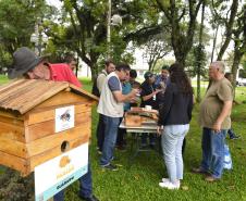 Servidores são capacitados para cuidar de colmeias do Poliniza Paraná