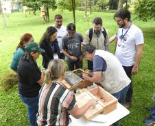 Servidores são capacitados para cuidar de colmeias do Poliniza Paraná